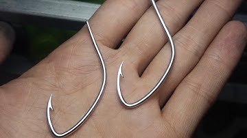 Cặp lưỡi trứng rùa, móng heo đẹp trong đêm. Zalo 0983117566