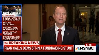 Rep. Schiff on MSNBC Discusses House Democrats' Protest on Gun Violence Legislation