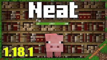 Neat Mod 1.18.1 & How To Install for Minecraft