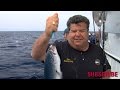 Yellowtail on Jigs | SPORT FISHING