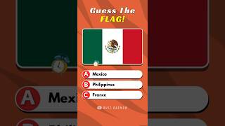 Ultimate Flag Quiz (Ep. 02) #flagquizz #quizdaemon #shorts screenshot 3