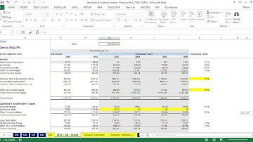 Lecture 3 Financial Statement Forecasting Zenox Sensitivity and Scenario Analysis