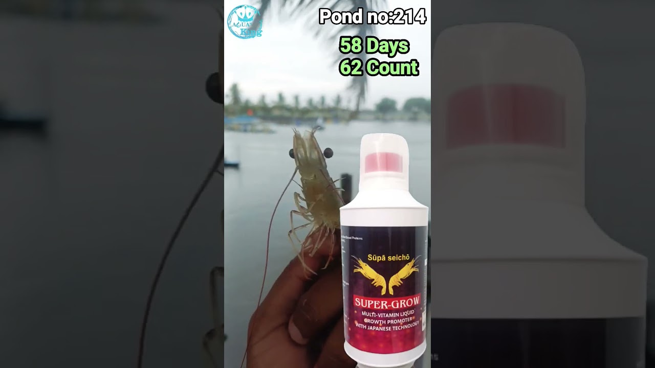 Growth promoter for Aqua culture 