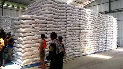 Procession of Unloading Soybean