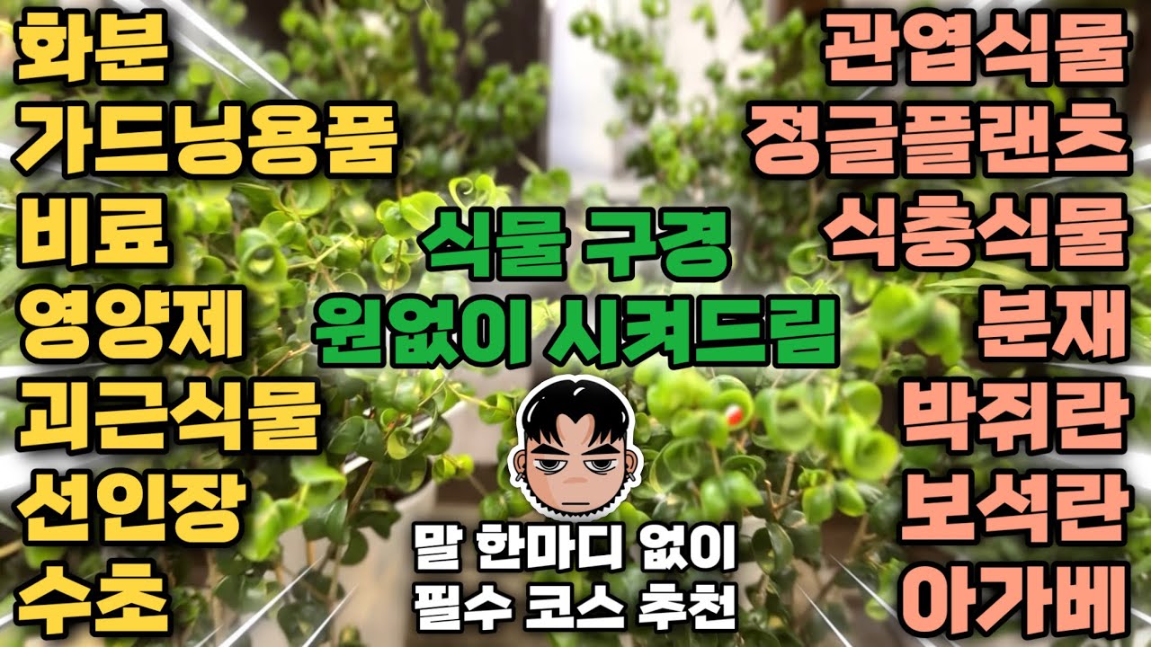 일본 여행 오사카 식물 샵 위치와 정보