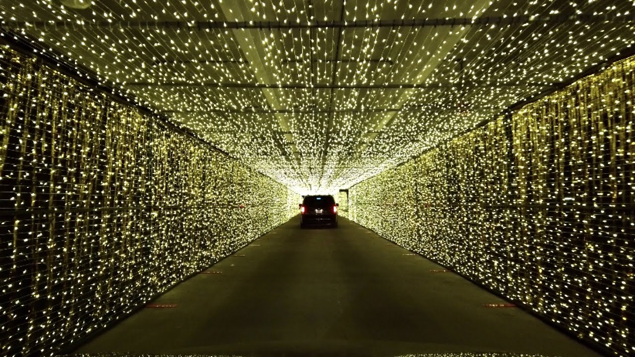 Holiday Lights Tunnel at 