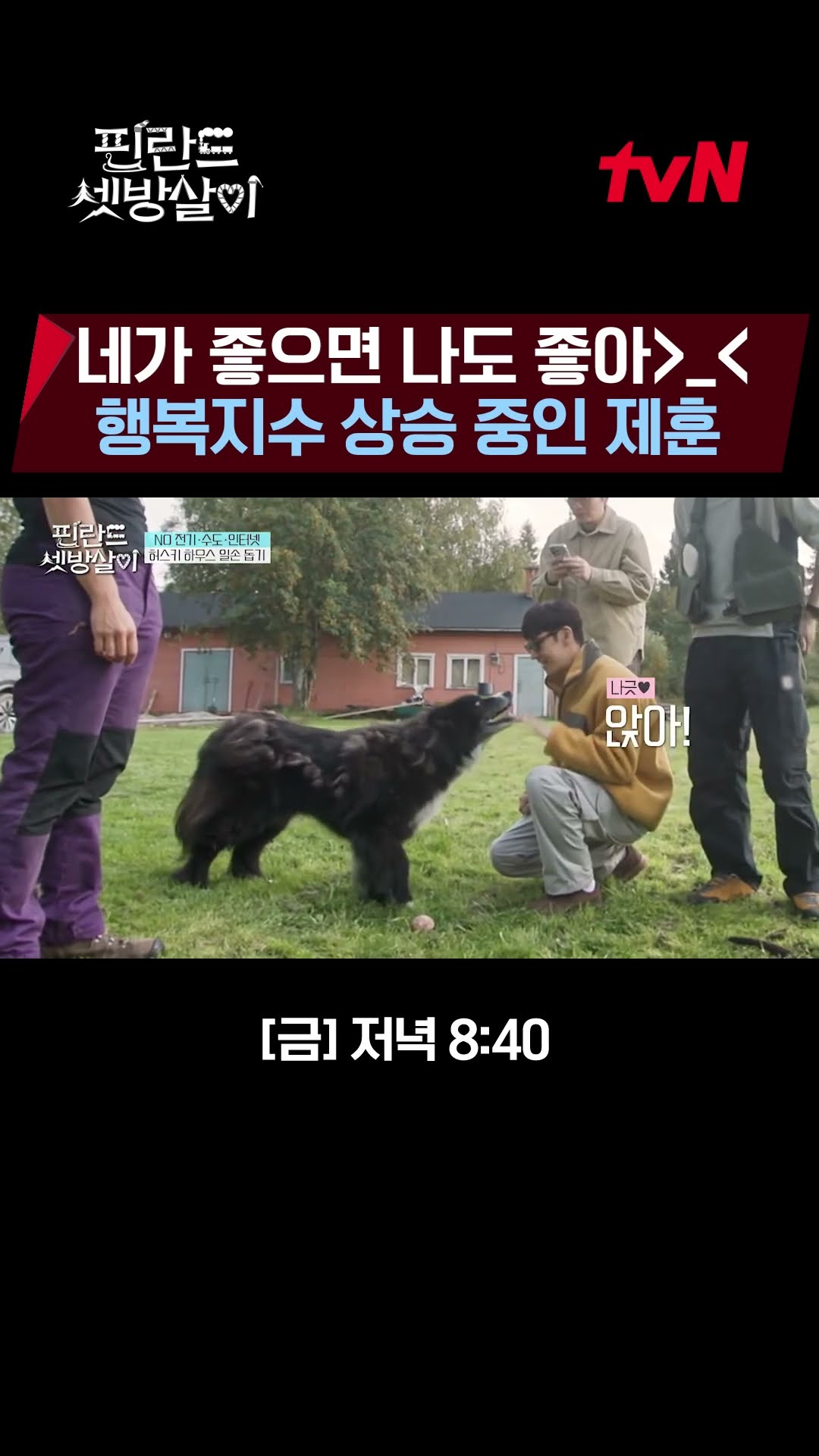 Husky playing with Je-hoon? Puppies looking happy? #RentedInFinland