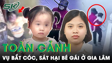 Toàn Cảnh Vụ Bắt Cóc Và Sát Hại Dã Man Bé Gái 21 Tháng Tuổi Ở Gia Lâm, Hà Nội | SKĐS