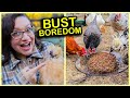 Easy homemade flock block for chickens