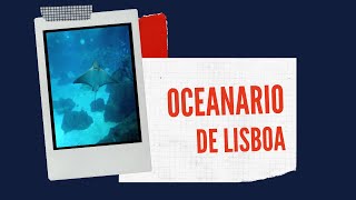 Oceanario de Lisboa, un super acuario | Luli en Portugal