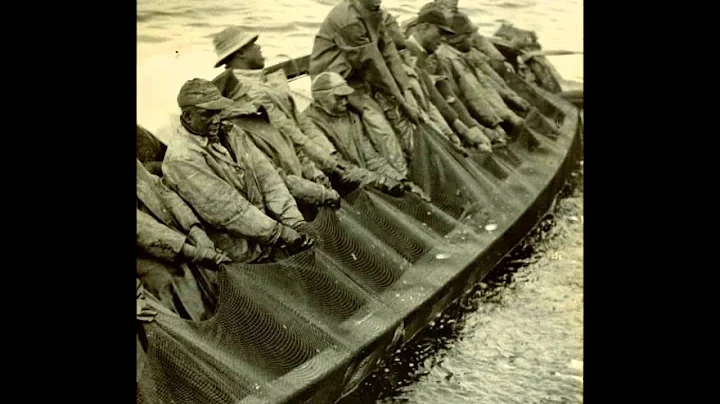 How Did Get Here? My Amazing Genealogy Journey. Pa...