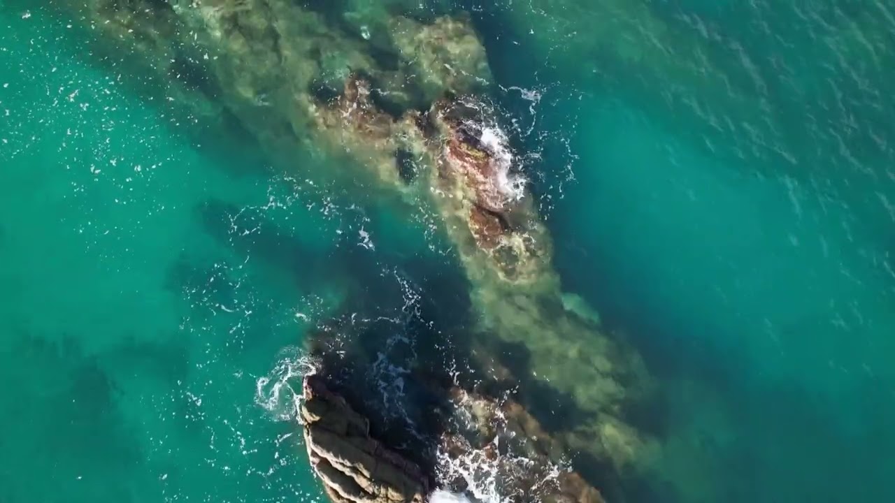 AI Teacher traningLevel 1