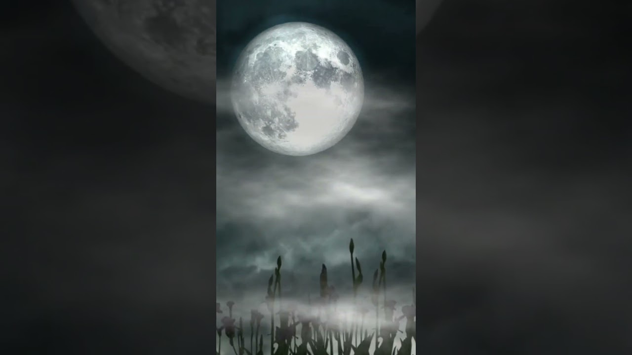 Mental Collapse - lyrics in description #music