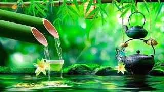 Relaxing Music Relieves Stress, Anxiety and Depression, Heals the Mind, Deep Sleep by Healing Your Mind 70 views 6 days ago 1 hour, 50 minutes