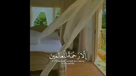 وما ارسلناك إلا رحمة للعالمين | من اجمل حالات واتس اب دينية بصوت القاريء إسلام صبحي قرآن كريم