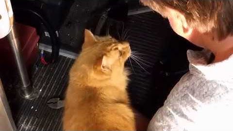 Shuttle bus rv conversion (Part 34) Bathroom 12v electrical and light install