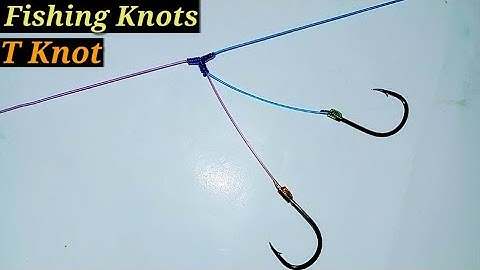 T Knot Fishing | How to Create a Easy Bottom Fishing Rig ( T knot Tutorial )