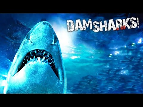 Dam sharks [ Music Video ]
