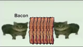 This Is A Bacon