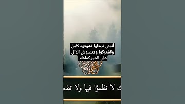 تلاوة خاشعة من سورة طه #تلاوة_خاشعة #سورة_يس #القرآن_الكريم #قرآن #اسلام_صبحي #اكسبلور #قران_كريم