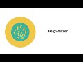 Feigwarzen - Infektionskrankheiten