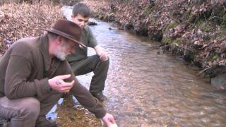 Journal of the Yurt 45  Making Farmers Cheese.wmv