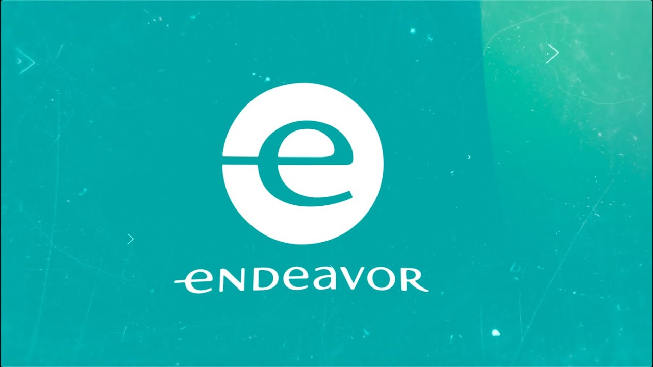 Endeavor 2019 Impact in a Nutshell
