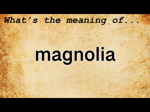 Magnolia Meaning : Definition of Magnolia