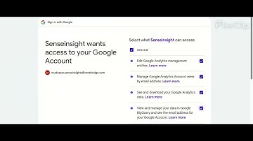 Sense Insights Big Query demo