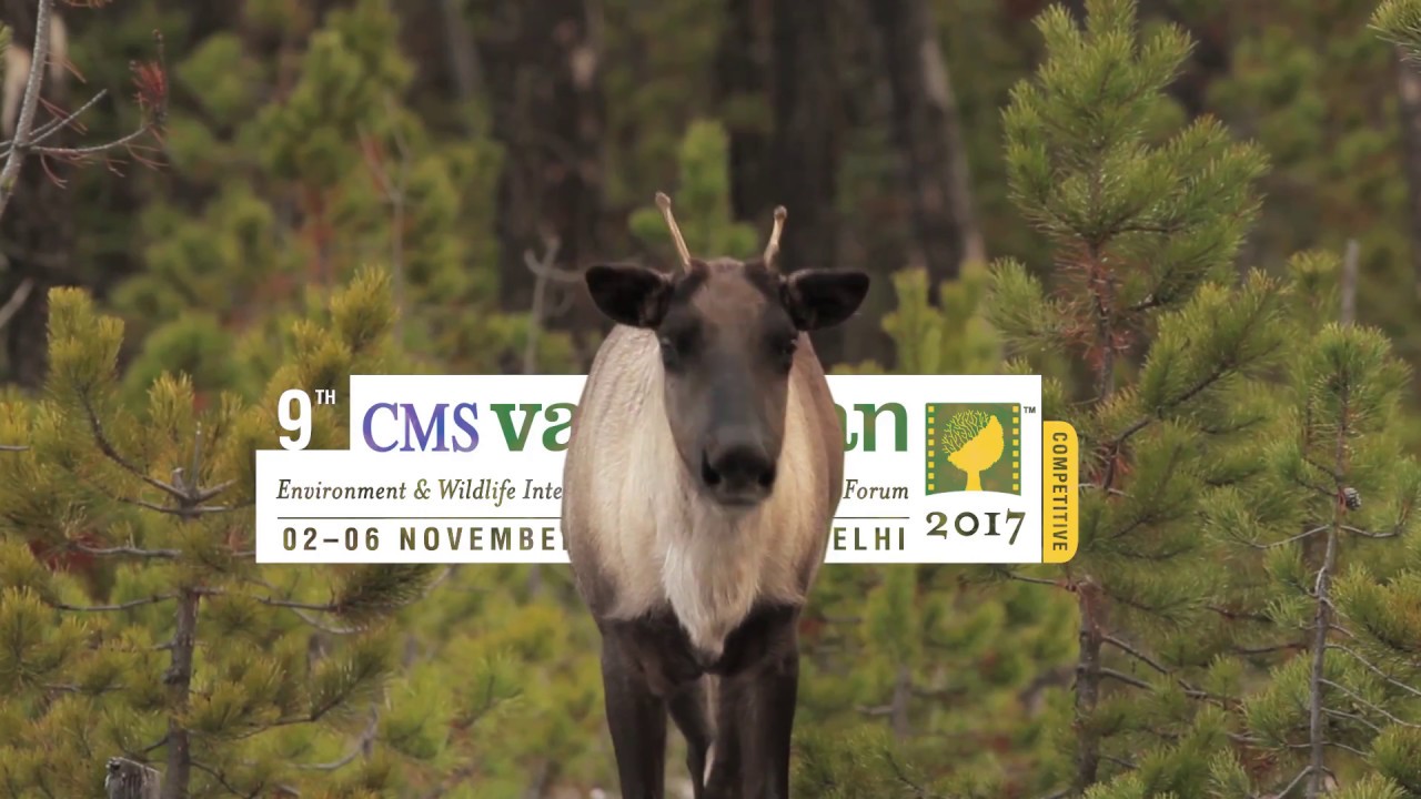 Promo of 9th CMS VATAVARAN Environment and wildlife International Film Festival and Forum