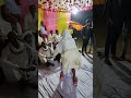 Please support kijiye  bhojpuri song dance trending viral youtube shortshotrs