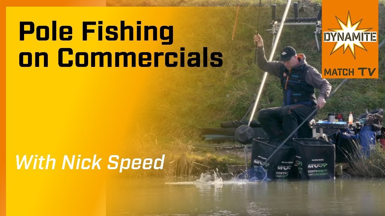 Match fishing