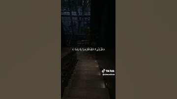 #قرآن كريم#قران كريم بصوت جميل#قران کریم🫀#قران صوت راحه نفسيه#﷽ القران الكريم#صوت قران يخشع القلوب