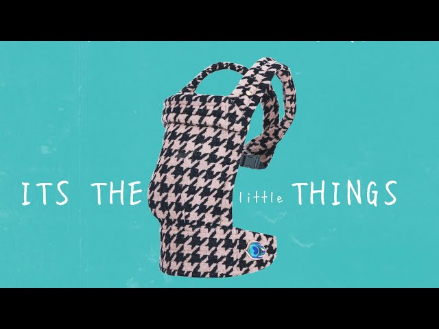 Its The little Things (OFFICIAL VIDEO) class=