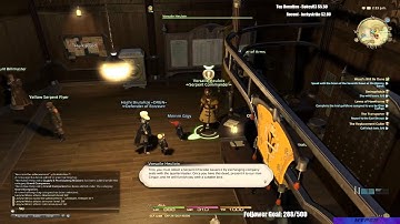 FFXIV:  bot leveling is real