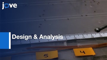 Temperature Preference Behavior & Circadian Rhythm In Drosophila l Protocol Preview