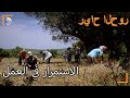 لقد عملوا في الميدان.- سنوات الصفصاف الجزء 136