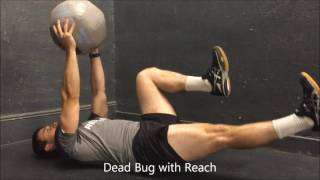 Resilient Performance - Dead Bug with Reach Net Worth