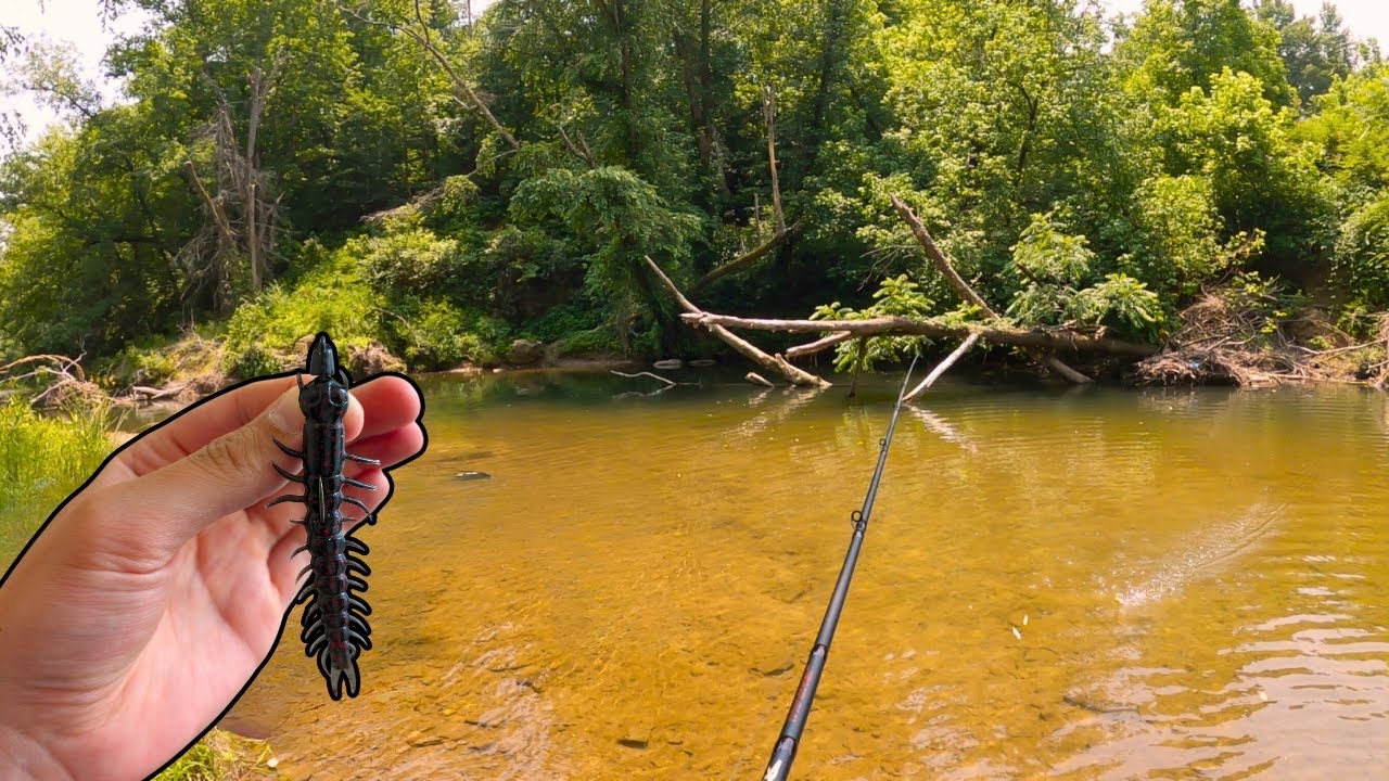 I Tried BASS FISHING a CREEK and THIS HAPPENED!