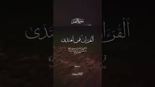 Surah Naml Recitation #duet #quranicblessings #beautifulrecitation