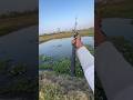 कास्टिंग रील कैसे इस्तेमाल करे ❤️👍#fishing #fishinglife #viral #shorts