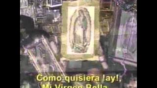 Mi Virgen Bella