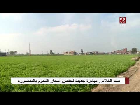 مبادراة ضد الغلاء اسعار اللحوم ف المنصورة قرية برج النور
