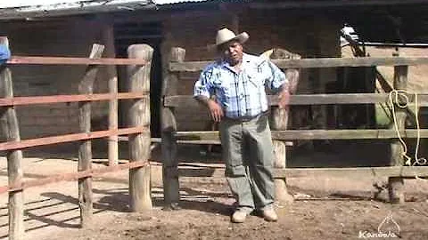 maana me voy pal llano letra y musica de ali salin...