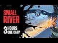 Carp fishing in a small river