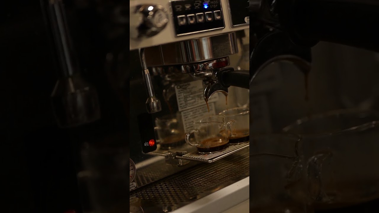 Astoria Coffee Machine Parts ☕ | How to Tell the Difference