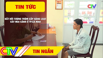 Bắt đối tượng trộm cắp hàng loạt cây mai cảnh ở Tp.Cà Mau