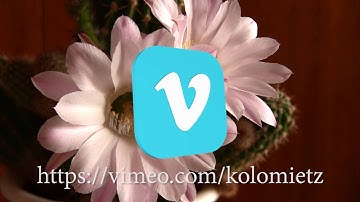 vimeo logo chroma key green screen animation free