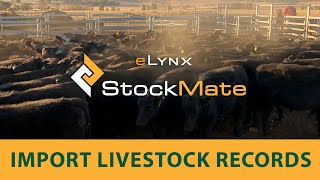 eLynx StockMate Tutorial 3 - Populate StockMate with Livestock Records