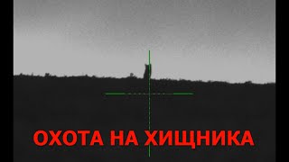 ОХОТА НА ХИЩНИКА